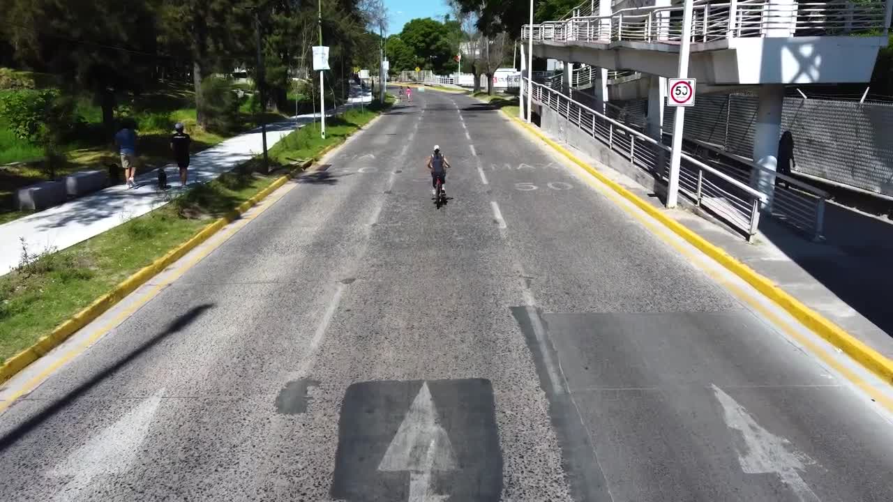 Download Stock Video Aerial Walk Along A Path In A Sunny Park Live Wallpaper for PC