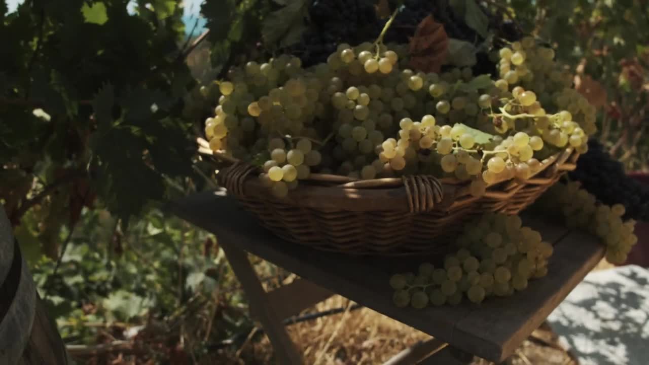 Download Stock Video Basket Full Of Fresh Grapes Live Wallpaper For PC
