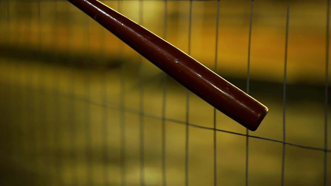 Download Stock Video Baseball Bat On A Wire Fence Live Wallpaper For PC