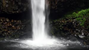 Stock Video Base Of A Forest Waterfall Live Wallpaper For PC