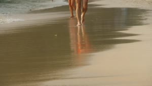Stock Video Barefoot Man Walking In The Beach Live Wallpaper For PC