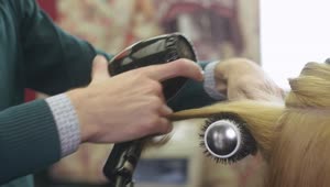 Stock Video Barber Drying Long Hair Live Wallpaper For PC