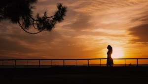 Stock Video Backlit Woman Walking At Sunset Live Wallpaper For PC