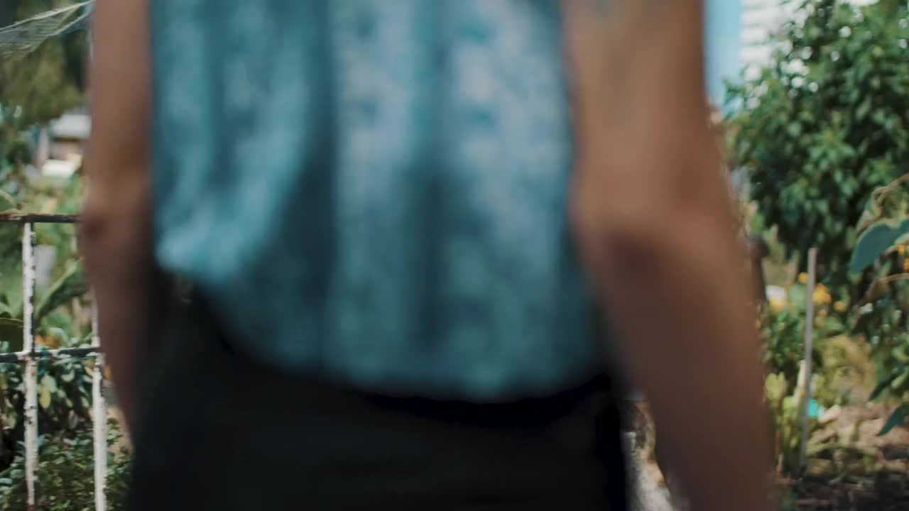 Download Stock Video Back View Of A Woman Walking Through A Garden Live Wallpaper For PC