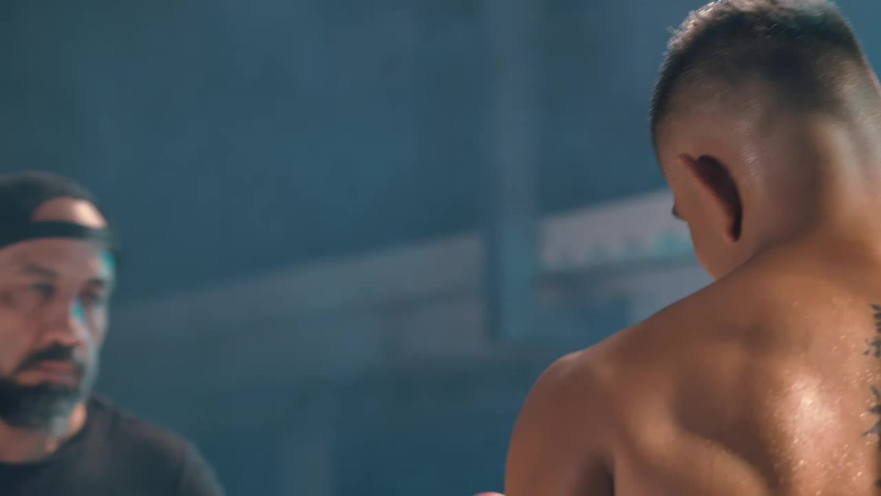 Download Stock Video Back View Of A Boxer Training Live Wallpaper For PC