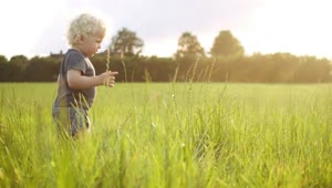 Stock Video Baby Boy Playing With Grass Live Wallpaper For PC