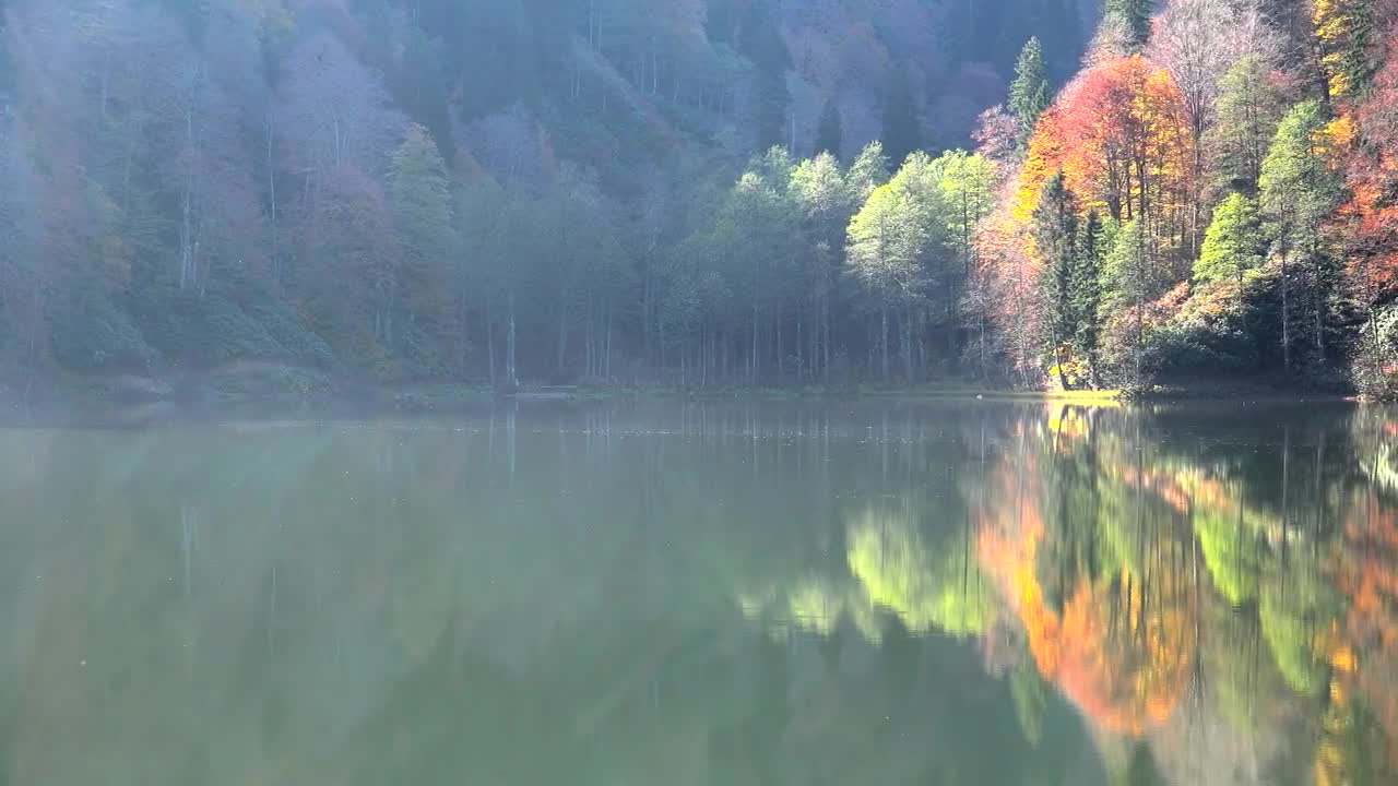 Download Stock Video Autumn Forest By The Lake Live Wallpaper For PC