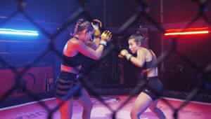 Stock Video Arduous Mixed Martial Arts Combat Between Two Women Live Wallpaper For PC
