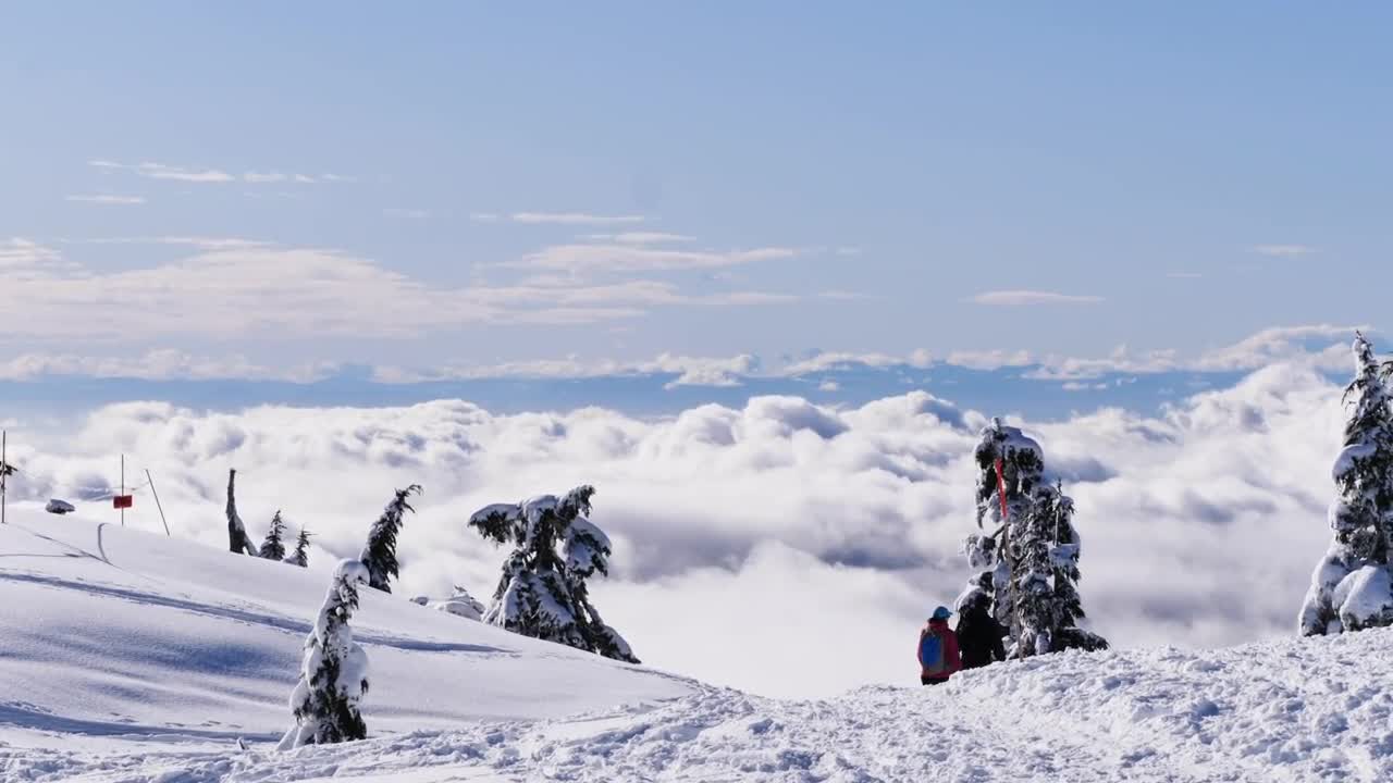 Download Stock Video Animated Gradient End Screen Live Wallpaper For PC