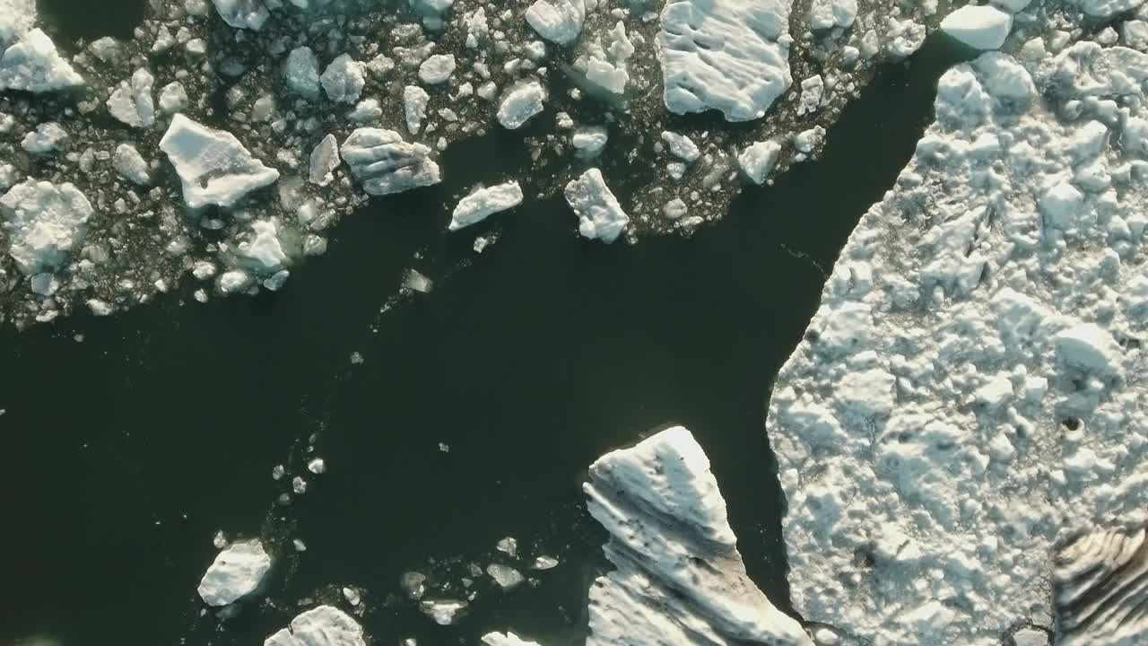 Download Stock Video Animals Swimming In Cold Water Live Wallpaper For PC