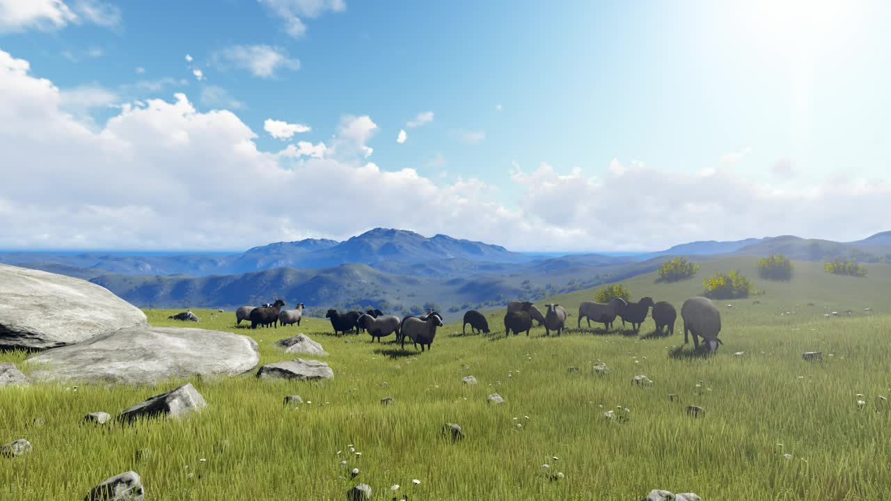 Download Stock Video Animals Grazing On The Hills During The Day Live Wallpaper For PC