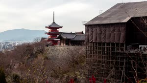 Stock Video Ancient Japanese Building In The Hill Live Wallpaper For PC
