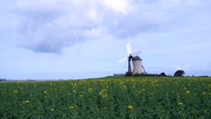 Stock Video An Old Windmill In The Field Live Wallpaper For PC