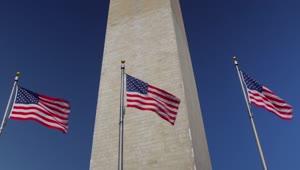 Stock Video American Flags At The Washington Monument Live Wallpaper For PC