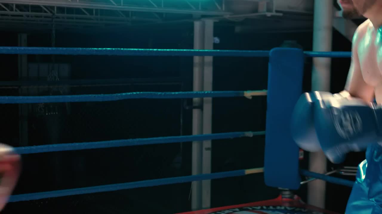 Download Stock Video Amateur Boxers During A Practice In The Gym Live Wallpaper For PC