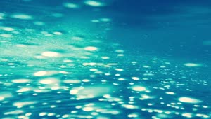 Stock Video Air Bubbles Underwater Upside Video Live Wallpaper For PC