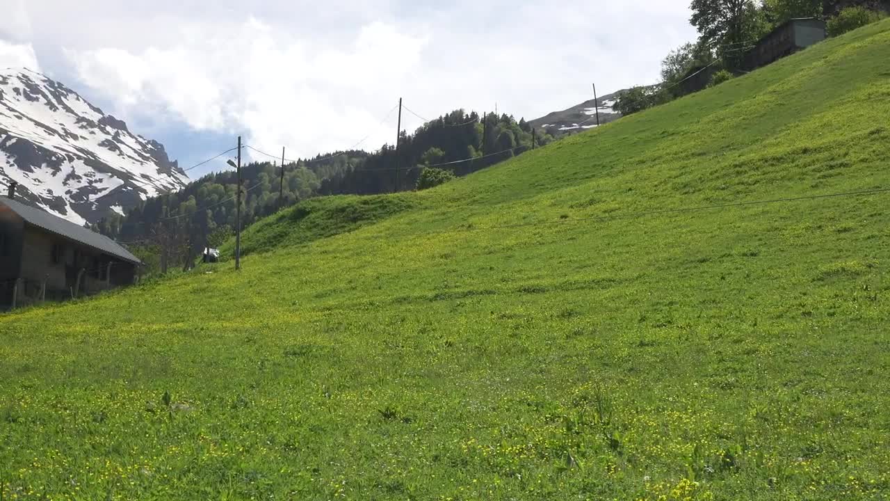 Download Stock Video A Wooden House In A Green Meadow Live Wallpaper For PC