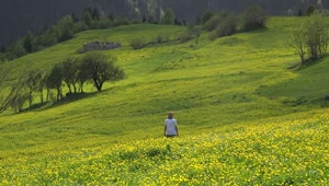 Stock Video A Woman Walking Through A Green Valley Live Wallpaper For PC