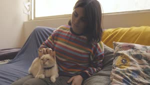 Stock Video A Woman Sits On A Couch And Pets A Cat Live Wallpaper For PC