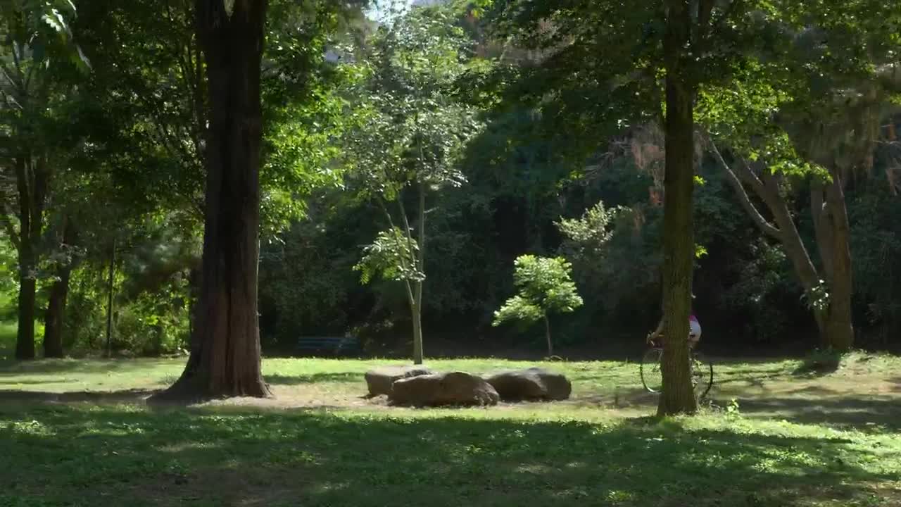 Download Stock Video A Woman Riding Her Bicycle At A Green Park Live Wallpaper For PC