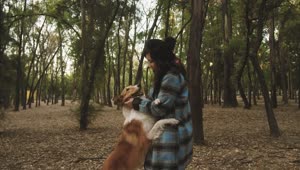 Stock Video A Woman Pets Her Dog In The Park Live Wallpaper For PC