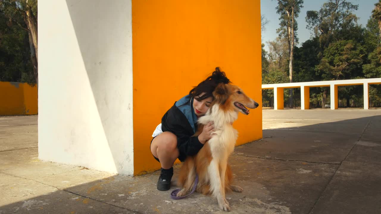 Download Stock Video A Woman Hugging A Dog Live Wallpaper For PC