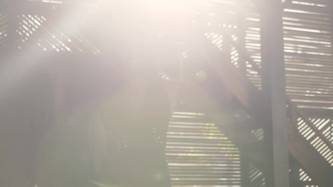 Download Stock Video A Woman Dancing In The Sun Live Wallpaper For PC