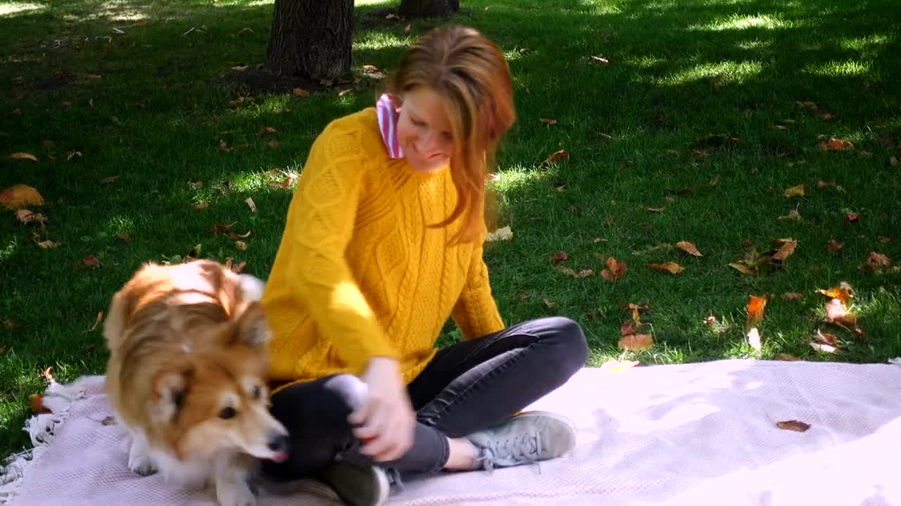 Download Stock Video A Woman And Her Dog Enjoying The Park Live Wallpaper For PC
