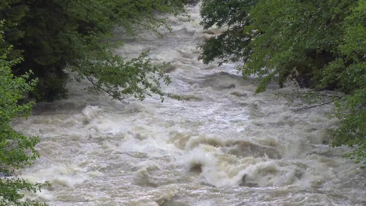 Download Stock Video A Wild River Between The Trees Live Wallpaper For PC