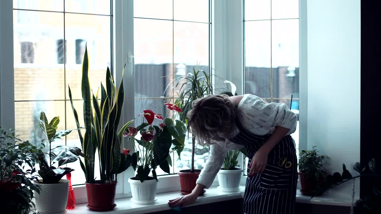 Download Stock Video A Tired Woman Cleaning The Home Live Wallpaper For PC