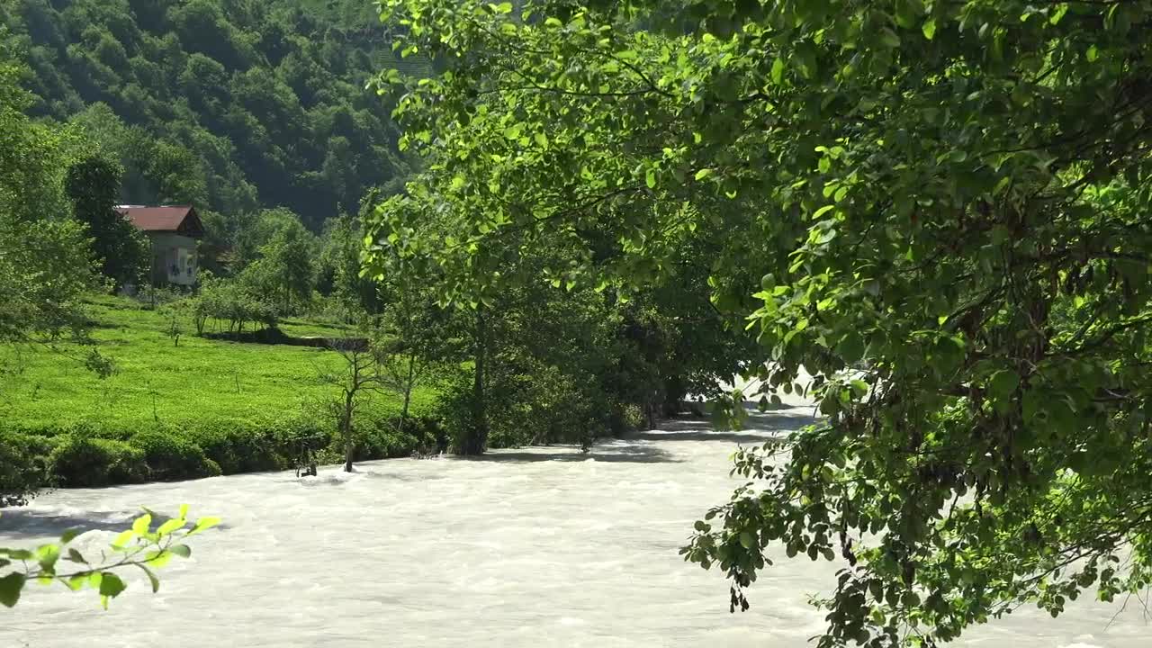 Download Stock Video A Small Cabin In A Green Meadow By The River Live Wallpaper For PC