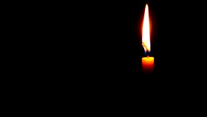Stock Video A Single Candle Burning In The Dark Live Wallpaper For PC