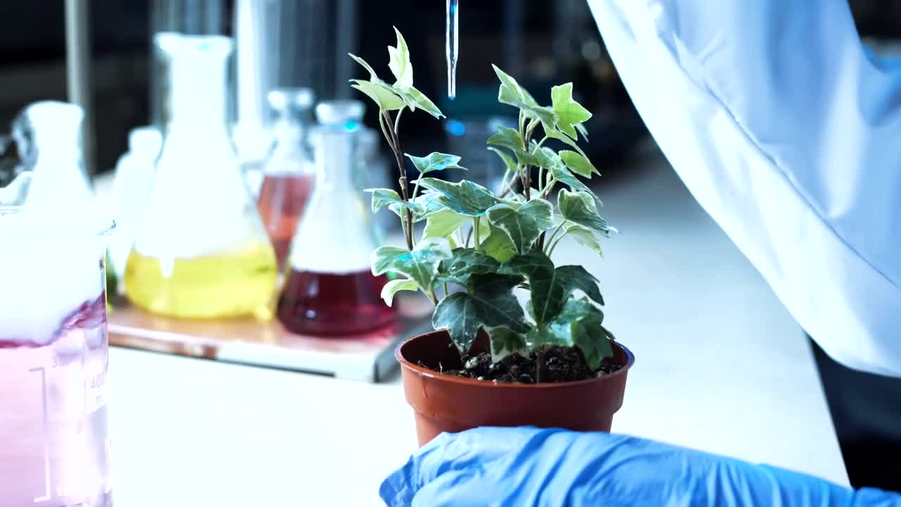 Download Stock Video A Scientist Dropping A Substance On A Plant Live Wallpaper For PC