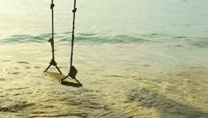 Stock Video A Rope Swing At The Beach Live Wallpaper For PC