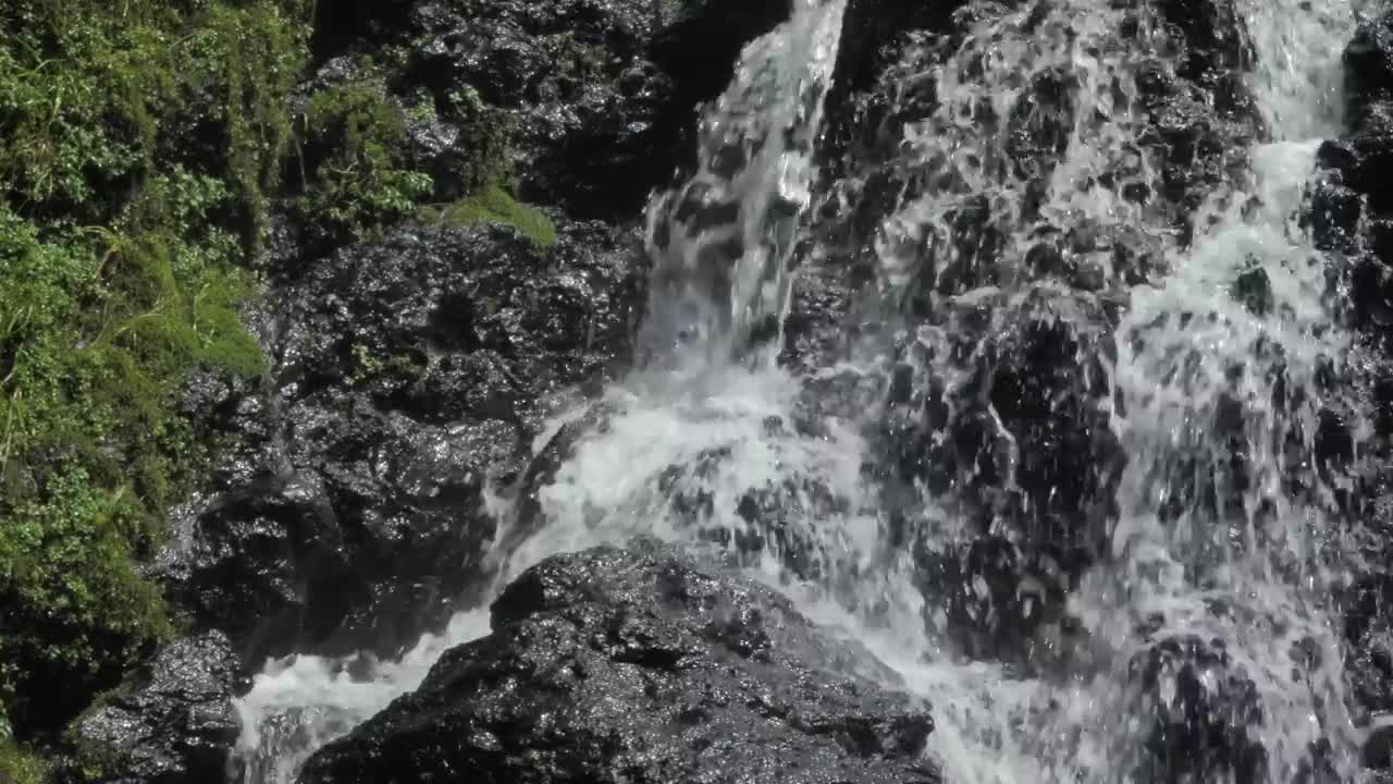 Download Stock Video A Rocky Waterfall In The Forest Live Wallpaper For PC