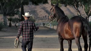 Stock Video A Rancher Walks His Horse Live Wallpaper For PC