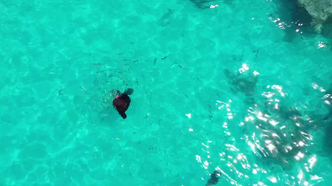 Download Stock Video A Person Snorkeling In A Turquoise Water With Reef Live Wallpaper For PC