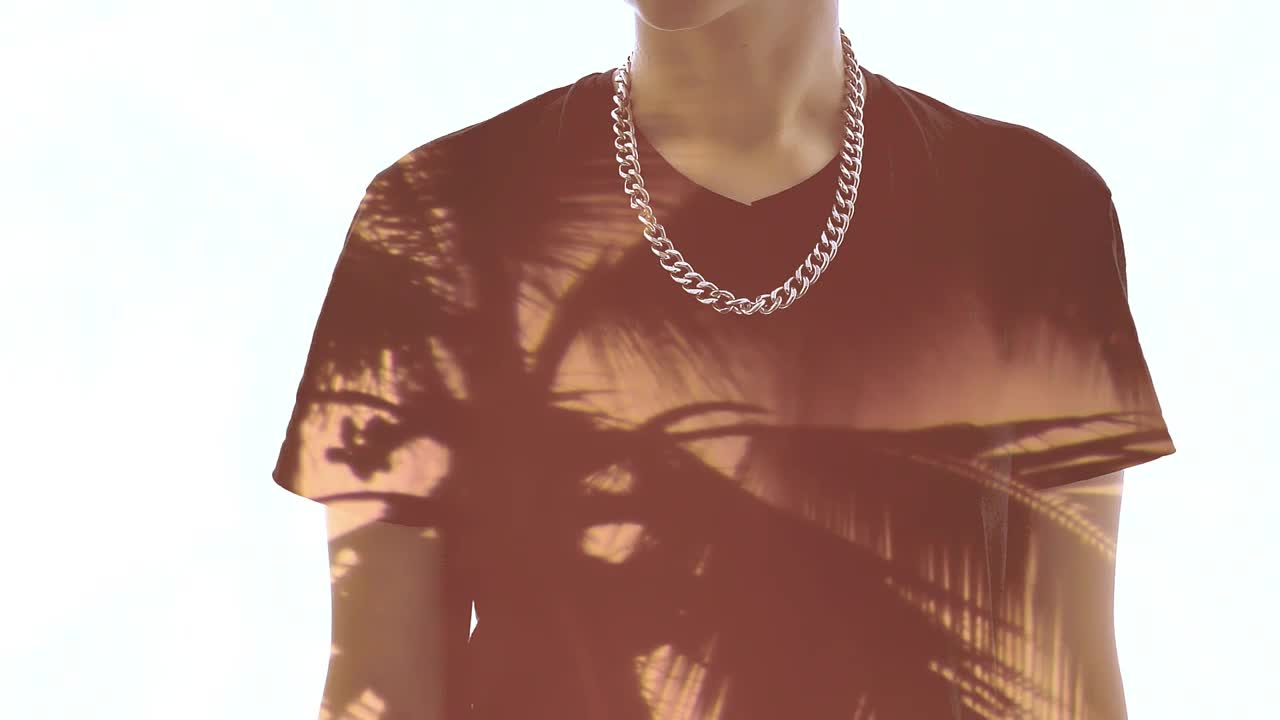 Download Stock Video A Person And The Silhouette Of A Palm Tree Live Wallpaper For PC