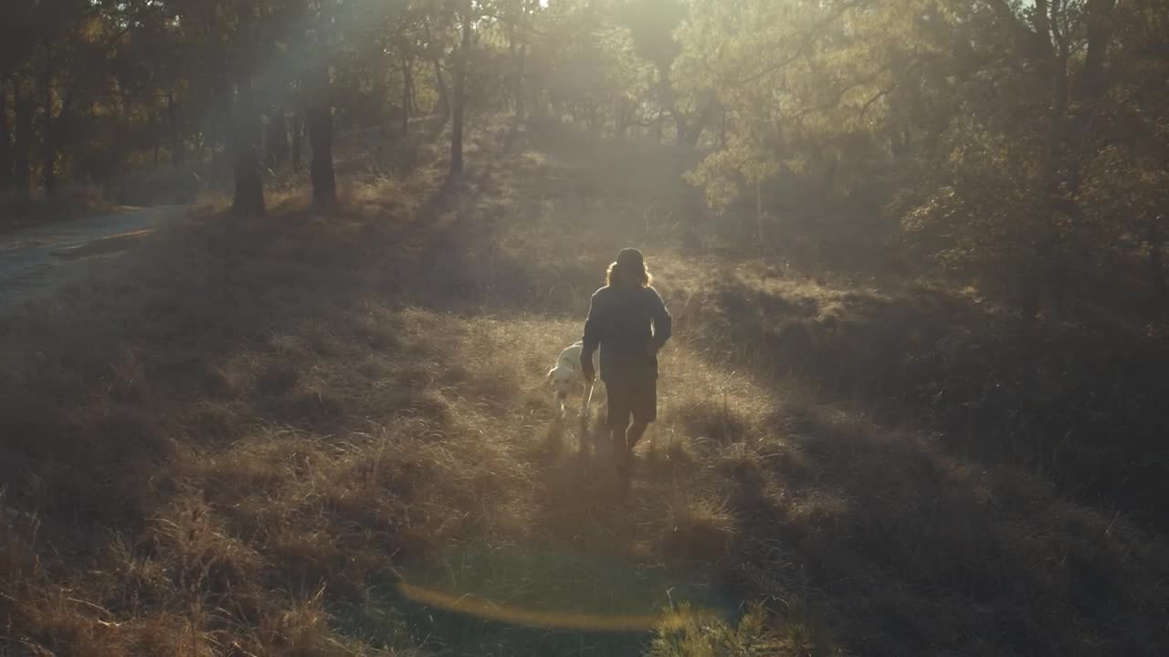 Download Stock Video A Man Walking His Dog In The Morning Live Wallpaper For PC