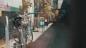 Stock Video A Man Takes A Bicycle From Bike Parking Live Wallpaper For PC