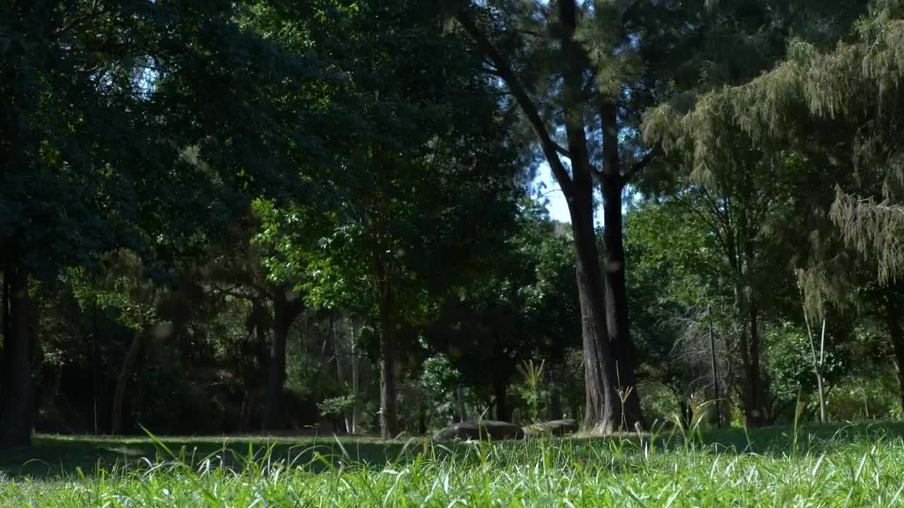 Download Stock Video A Man Riding His Bicycle At The Park Live Wallpaper For PC