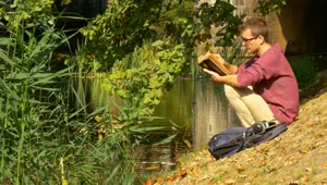 Stock Video A Man Reading A Book By The River Live Wallpaper For PC