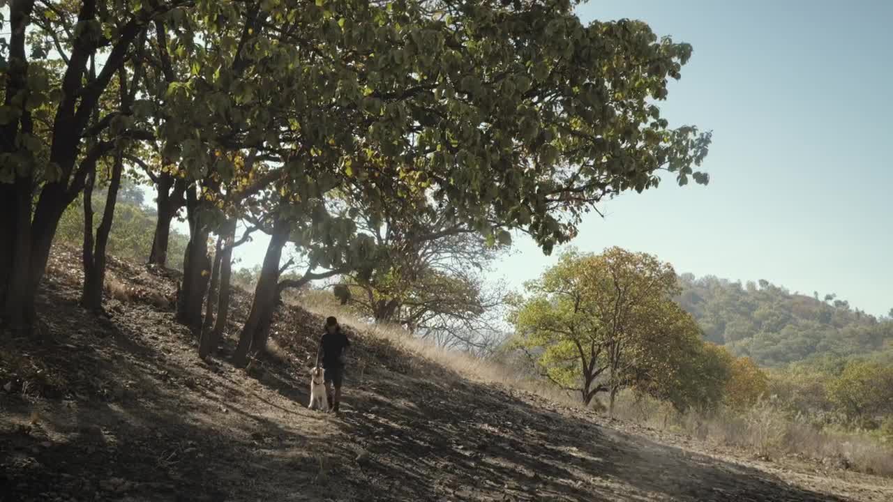 Download Stock Video A Man And His Dog Walking In A Forest On Live Wallpaper For PC