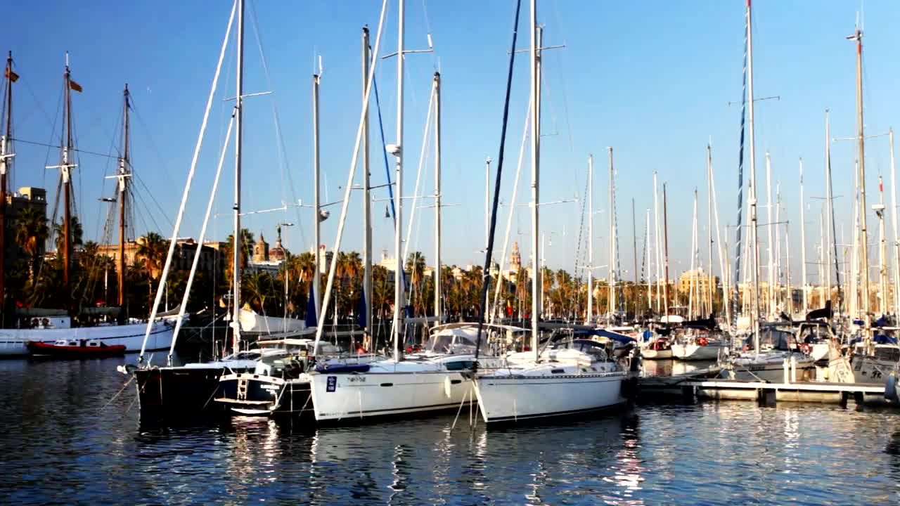Download Stock Video A Lot Of Sailboats Of A Port Live Wallpaper For PC