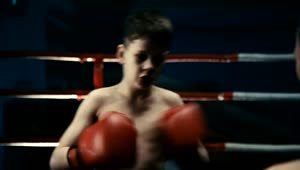 Stock Video A Little Kid Training Boxing On The Ring Live Wallpaper For PC