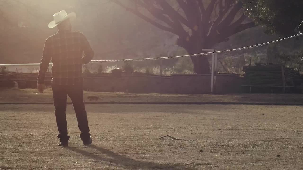 Download Stock Video A Horse Being Trained By Its Owner Live Wallpaper For PC