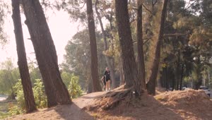 Stock Video A Girl And A Boy Jogging Through A Forest Live Wallpaper For PC