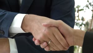 Stock Video Business Handshake Close Up Live Wallpaper For PC