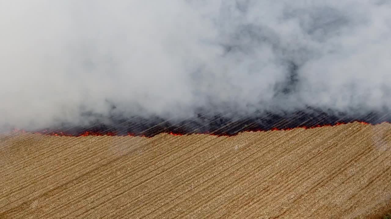 Download Stock Video Burning Of Agricultural Fields Live Wallpaper For PC