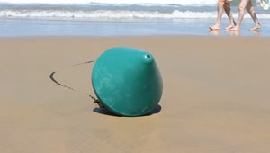 Stock Video Buoy Washed Up On The Beach Live Wallpaper For PC
